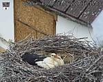 Capi_Dubne_20260521_101503.jpg