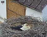 Capi_Dubne_20260521_103004.jpg