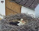 Capi_Dubne_20260521_103503.jpg
