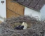Capi_Dubne_20260521_104003.jpg