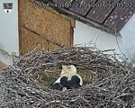 Capi_Dubne_20260521_110502.jpg