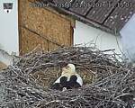 Capi_Dubne_20260521_111503.jpg
