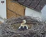 Capi_Dubne_20260521_113503.jpg