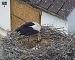 Capi_Dubne_20260521_120502.jpg