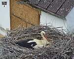 Capi_Dubne_20260521_123002.jpg