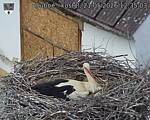 Capi_Dubne_20260521_123503.jpg