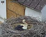 Capi_Dubne_20260521_130503.jpg