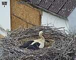 Capi_Dubne_20260521_131503.jpg