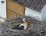 Capi_Dubne_20260521_132002.jpg