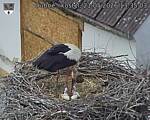 Capi_Dubne_20260521_133503.jpg