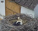 Capi_Dubne_20260521_134502.jpg