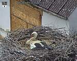 Capi_Dubne_20260521_141502.jpg
