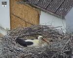 Capi_Dubne_20260521_143503.jpg