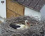 Capi_Dubne_20260521_144004.jpg