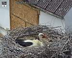 Capi_Dubne_20260521_144503.jpg