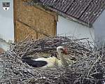 Capi_Dubne_20260521_145503.jpg