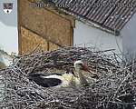 Capi_Dubne_20260521_150002.jpg