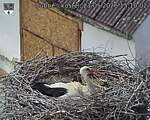 Capi_Dubne_20260521_151002.jpg