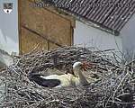 Capi_Dubne_20260521_151503.jpg