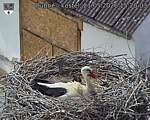 Capi_Dubne_20260521_152003.jpg