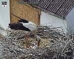 Capi_Dubne_20260521_152502.jpg
