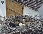 Capi_Dubne_20260521_153003.jpg