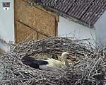 Capi_Dubne_20260521_153504.jpg