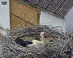 Capi_Dubne_20260521_154003.jpg