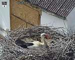 Capi_Dubne_20260521_154503.jpg