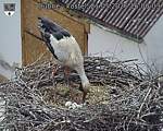 Capi_Dubne_20260521_160003.jpg