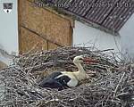 Capi_Dubne_20260521_161003.jpg