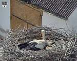 Capi_Dubne_20260521_162503.jpg