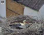 Capi_Dubne_20260521_163003.jpg