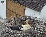 Capi_Dubne_20260521_165003.jpg