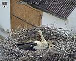 Capi_Dubne_20260521_165502.jpg