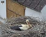 Capi_Dubne_20260521_171003.jpg