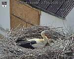 Capi_Dubne_20260521_171503.jpg