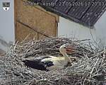 Capi_Dubne_20260521_172003.jpg