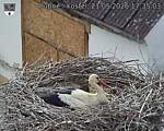 Capi_Dubne_20260521_173503.jpg