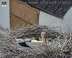 Capi_Dubne_20260521_174002.jpg