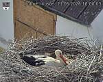 Capi_Dubne_20260521_180003.jpg