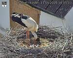 Capi_Dubne_20260521_180503.jpg