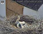 Capi_Dubne_20260521_182003.jpg