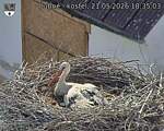 Capi_Dubne_20260521_183503.jpg