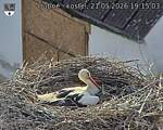Capi_Dubne_20260521_191503.jpg