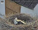 Capi_Dubne_20260521_193503.jpg