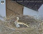 Capi_Dubne_20260521_195503.jpg