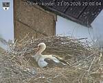 Capi_Dubne_20260521_200004.jpg