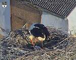Capi_Dubne_20260522_063504.jpg