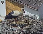 Capi_Dubne_20260522_125502.jpg